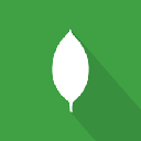 MongoDB mongo